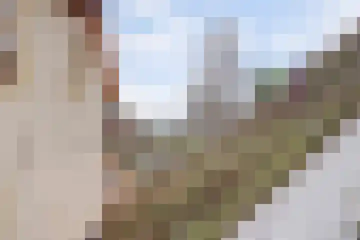 Zuiderlingedijk 135 Spijk thumbnail 8
