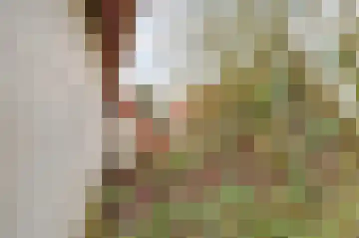 Zuiderlingedijk 135 Spijk thumbnail 9
