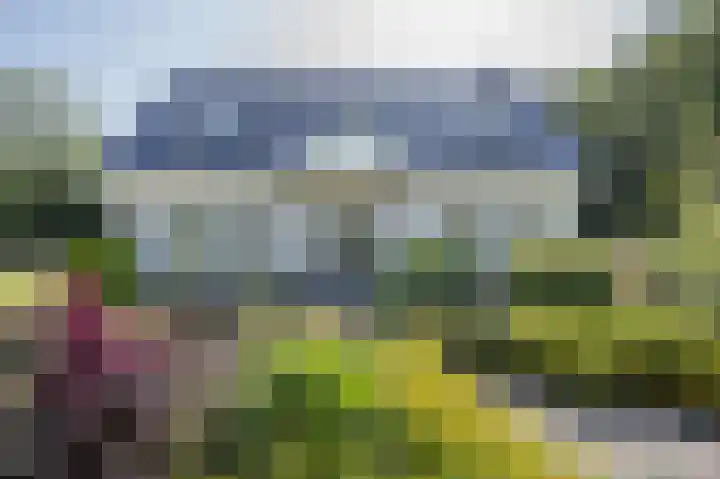 Zuiderlingedijk 245 a Spijk thumbnail 10