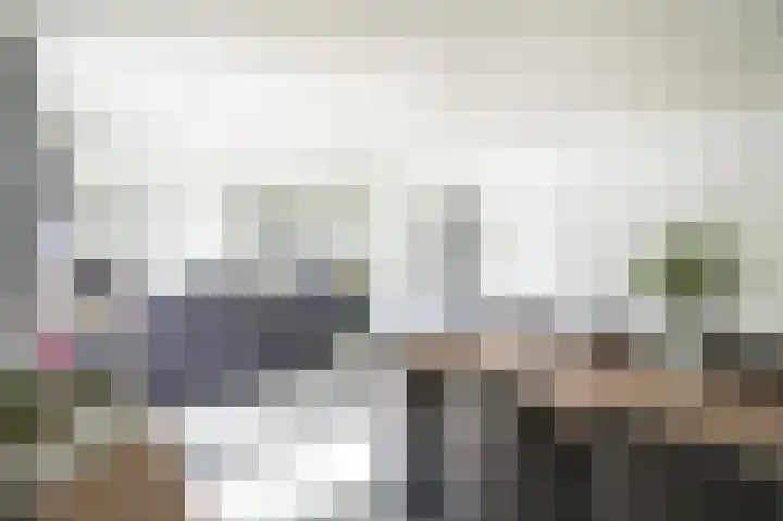 Zuiderlingedijk 245 a Spijk thumbnail 21