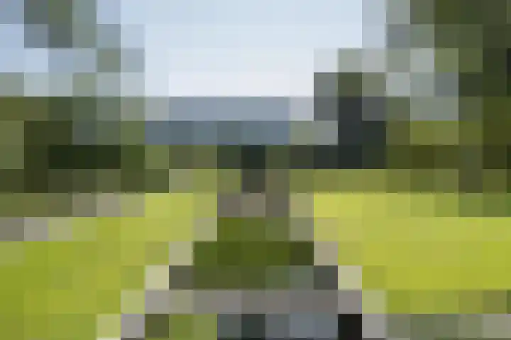 Zuiderlingedijk 245 a Spijk thumbnail 45