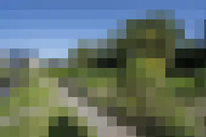 Zuiderlingedijk 245 a Spijk thumbnail 54