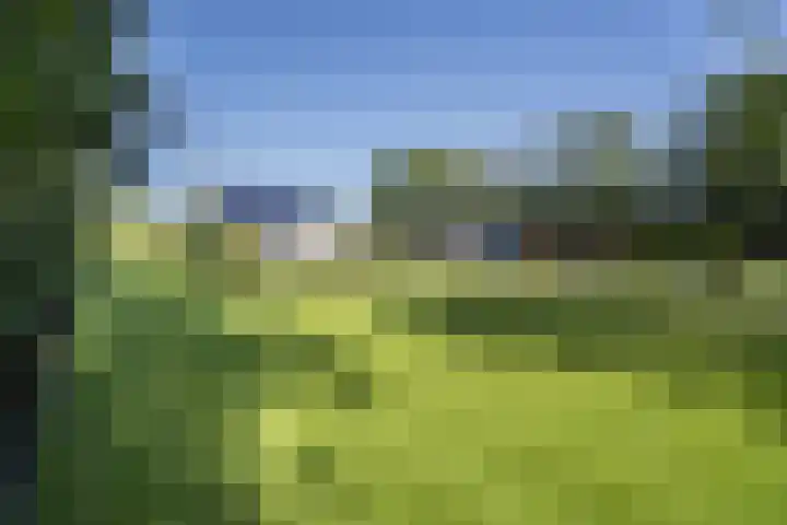 Zuiderlingedijk 245 a Spijk thumbnail 56