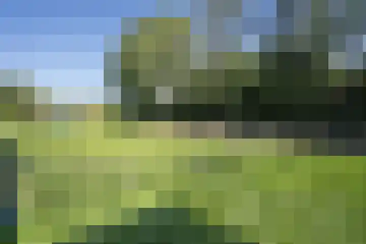 Zuiderlingedijk 245 a Spijk thumbnail 57