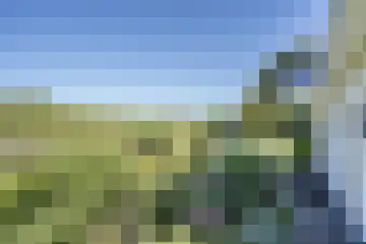 Zuiderlingedijk 245 a Spijk thumbnail 62