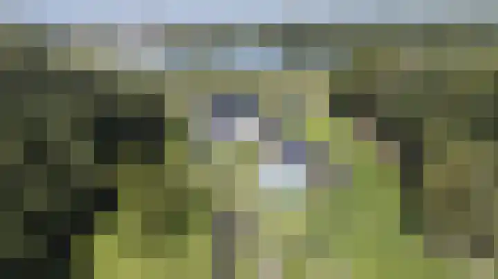 Zuiderlingedijk 245 a Spijk thumbnail 64