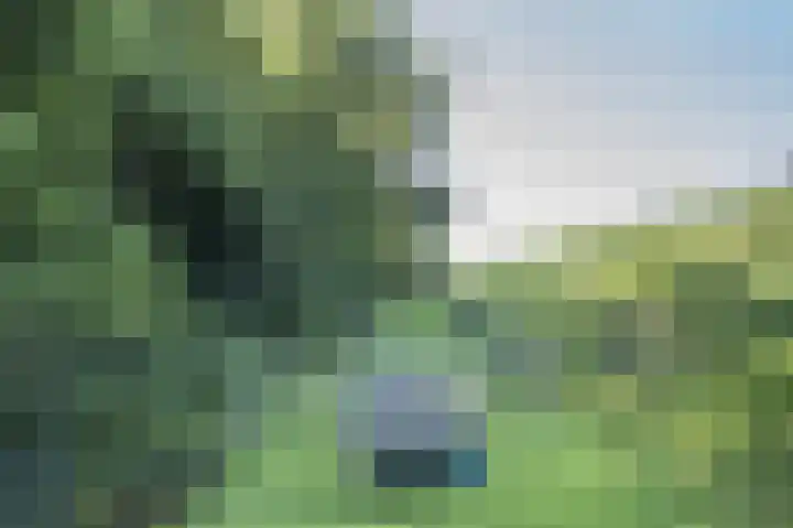 Zuiderlingedijk 245 a Spijk thumbnail 8