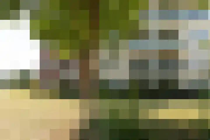 Zuidermeent 19 Hilversum thumbnail 22