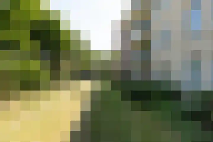 Zuidermeent 19 Hilversum thumbnail 25