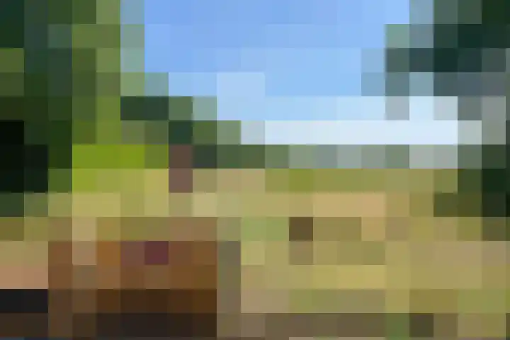 Zuidermeent 19 Hilversum thumbnail 26