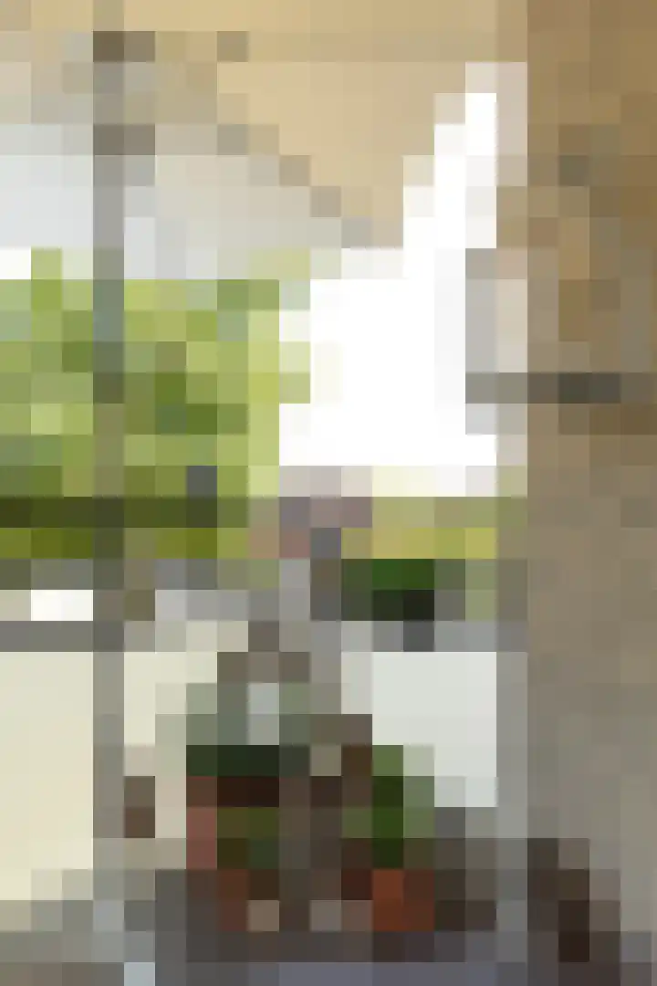 Zuidermeent 19 Hilversum thumbnail 8