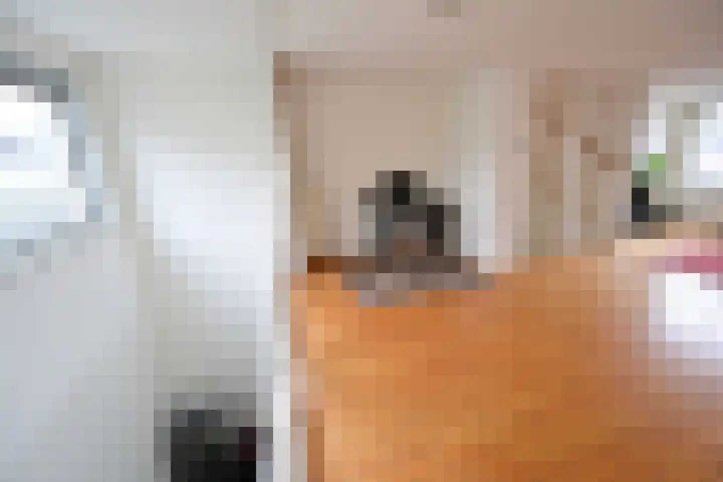 Zuidermeent 32 Hilversum thumbnail 6