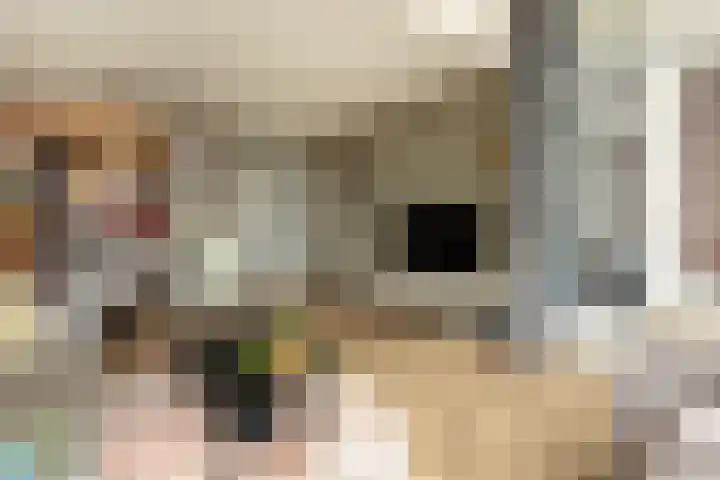 Zuidermeent 45 Hilversum thumbnail 7