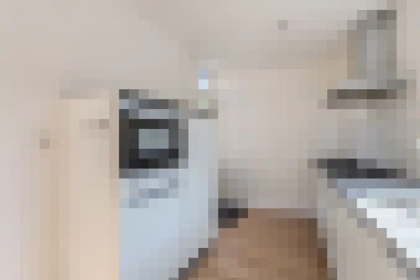 Zuidermeent 46 Kraggenburg thumbnail 27