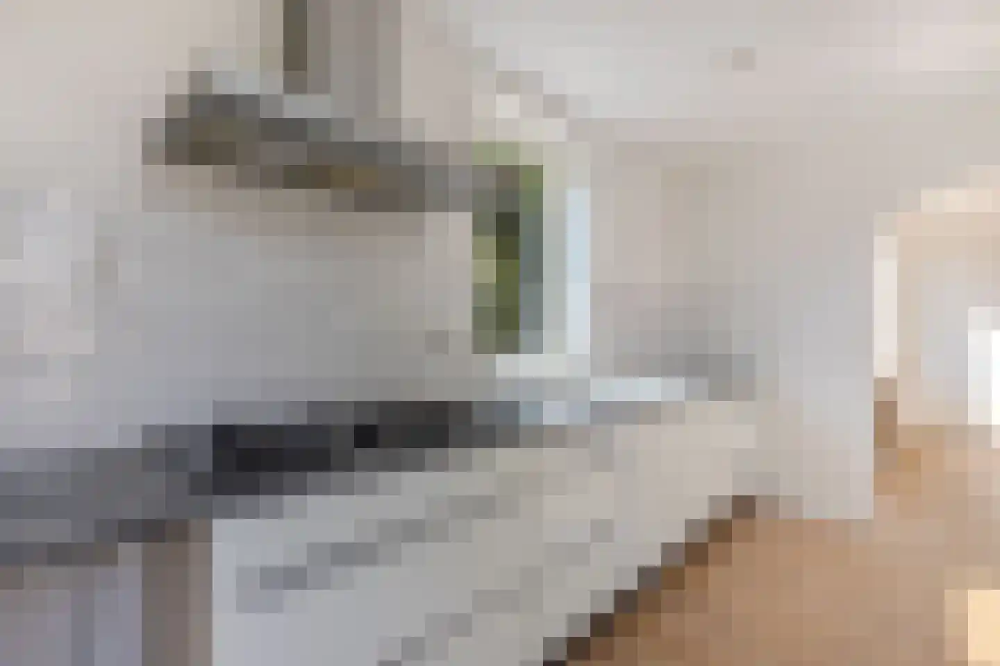 Zuidermeent 46 Kraggenburg thumbnail 28