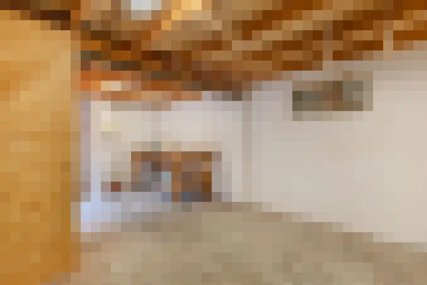 Zuidermeent 46 Kraggenburg thumbnail 30