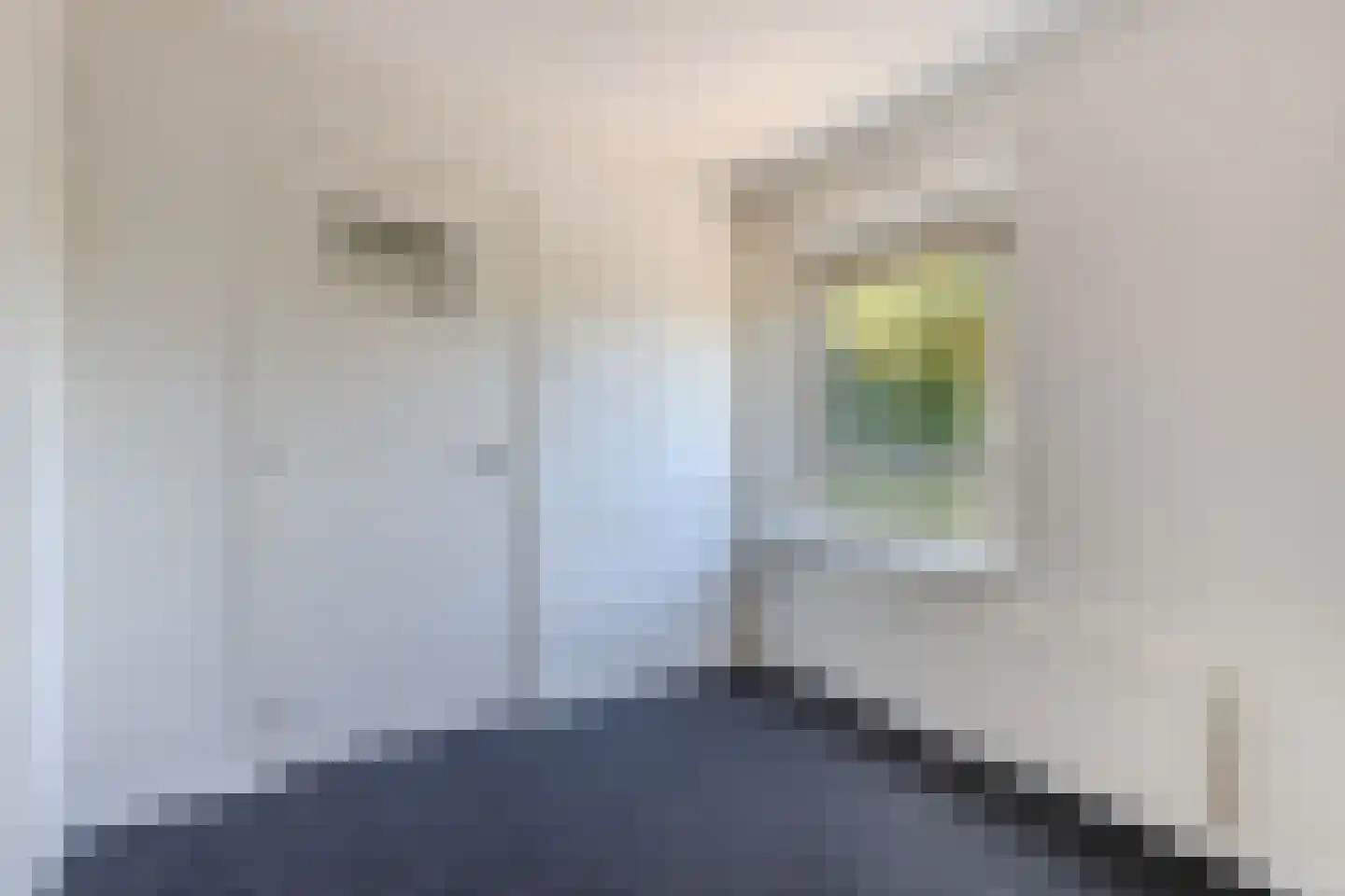 Zuidermeent 46 Kraggenburg thumbnail 37