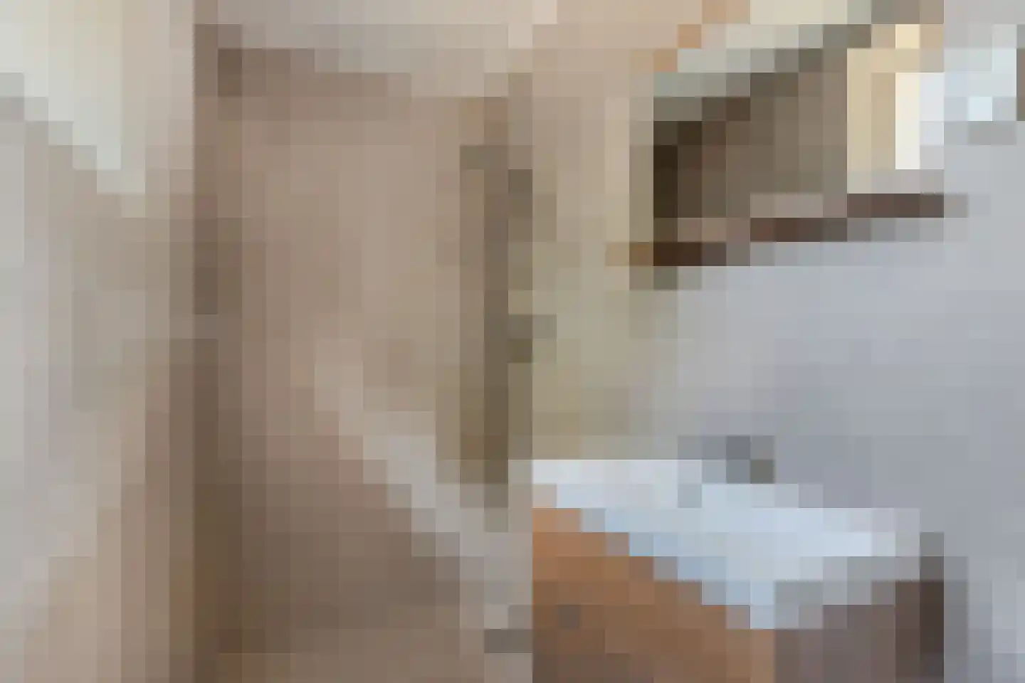 Zuidermeent 46 Kraggenburg thumbnail 39