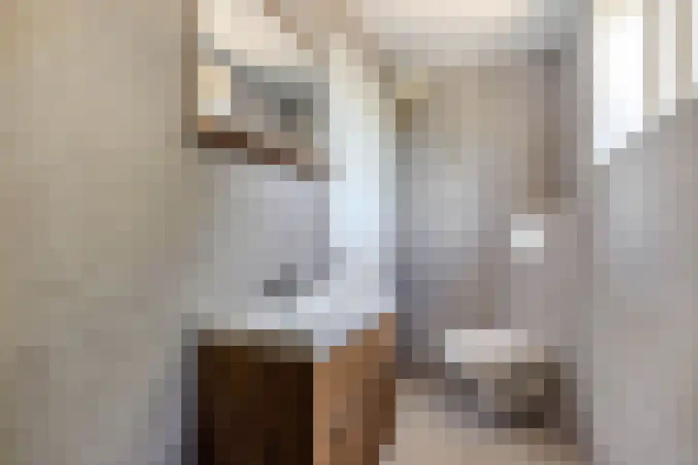 Zuidermeent 46 Kraggenburg thumbnail 41