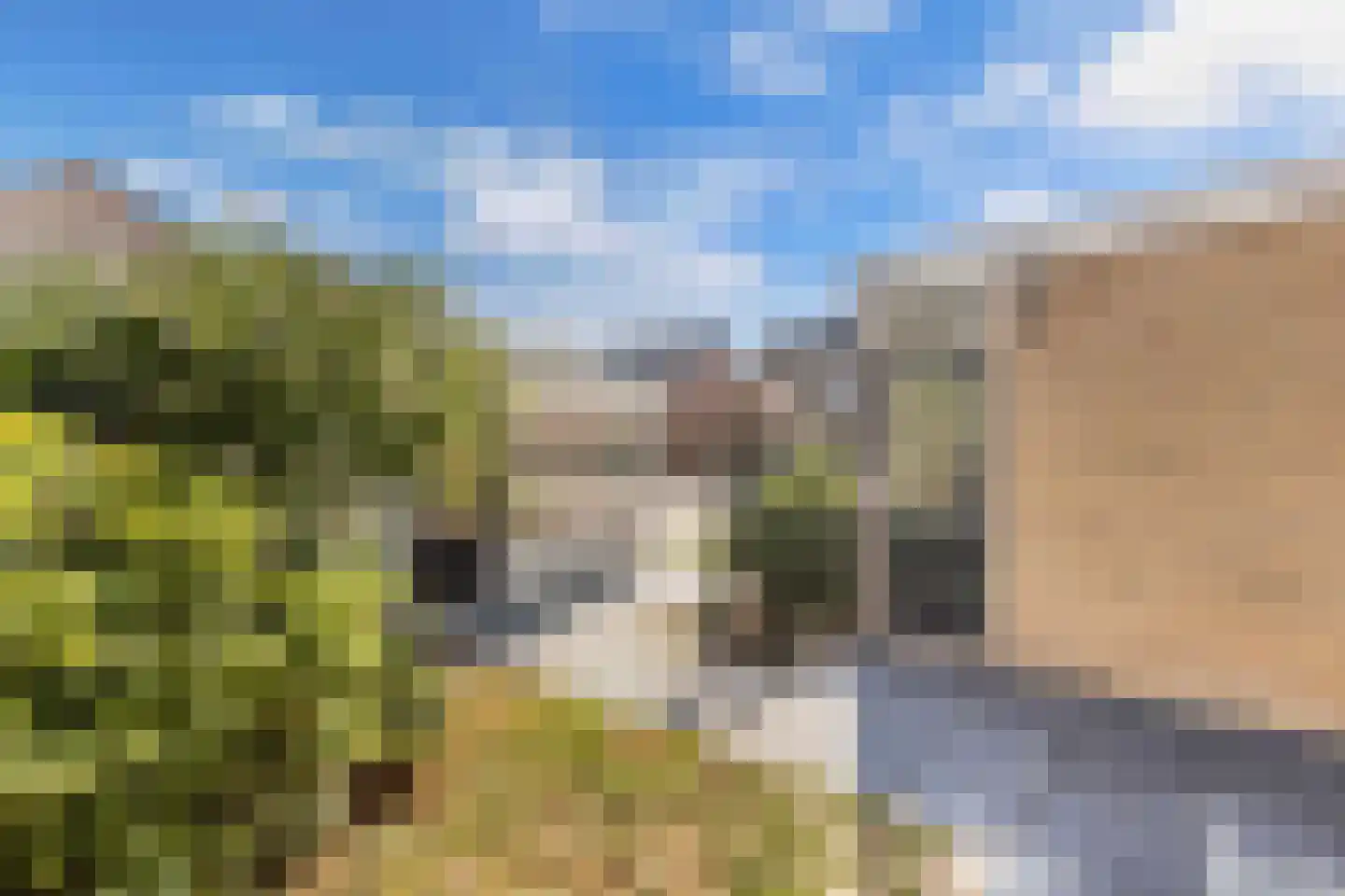 Zuidermeent 46 Kraggenburg thumbnail 45