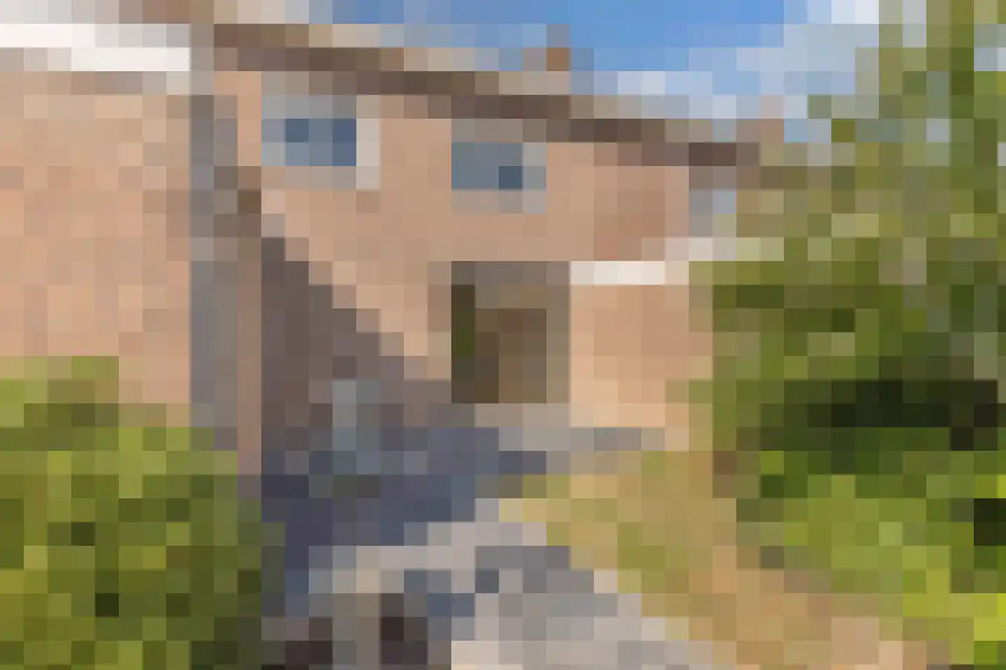 Zuidermeent 46 Kraggenburg thumbnail 50