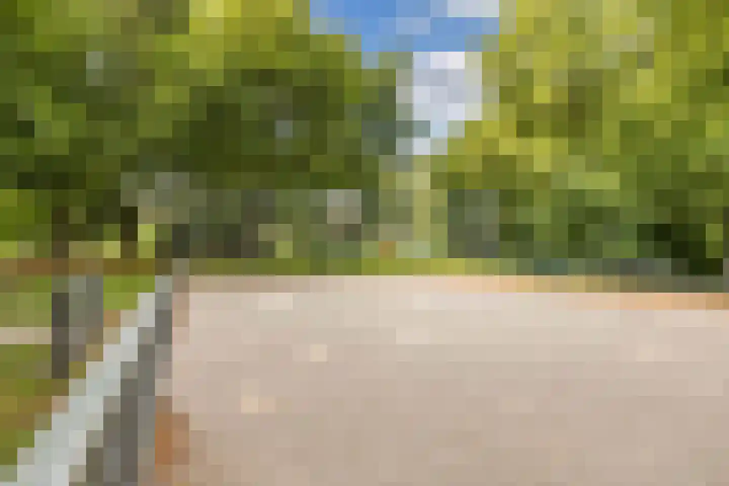 Zuidermeent 46 Kraggenburg thumbnail 51