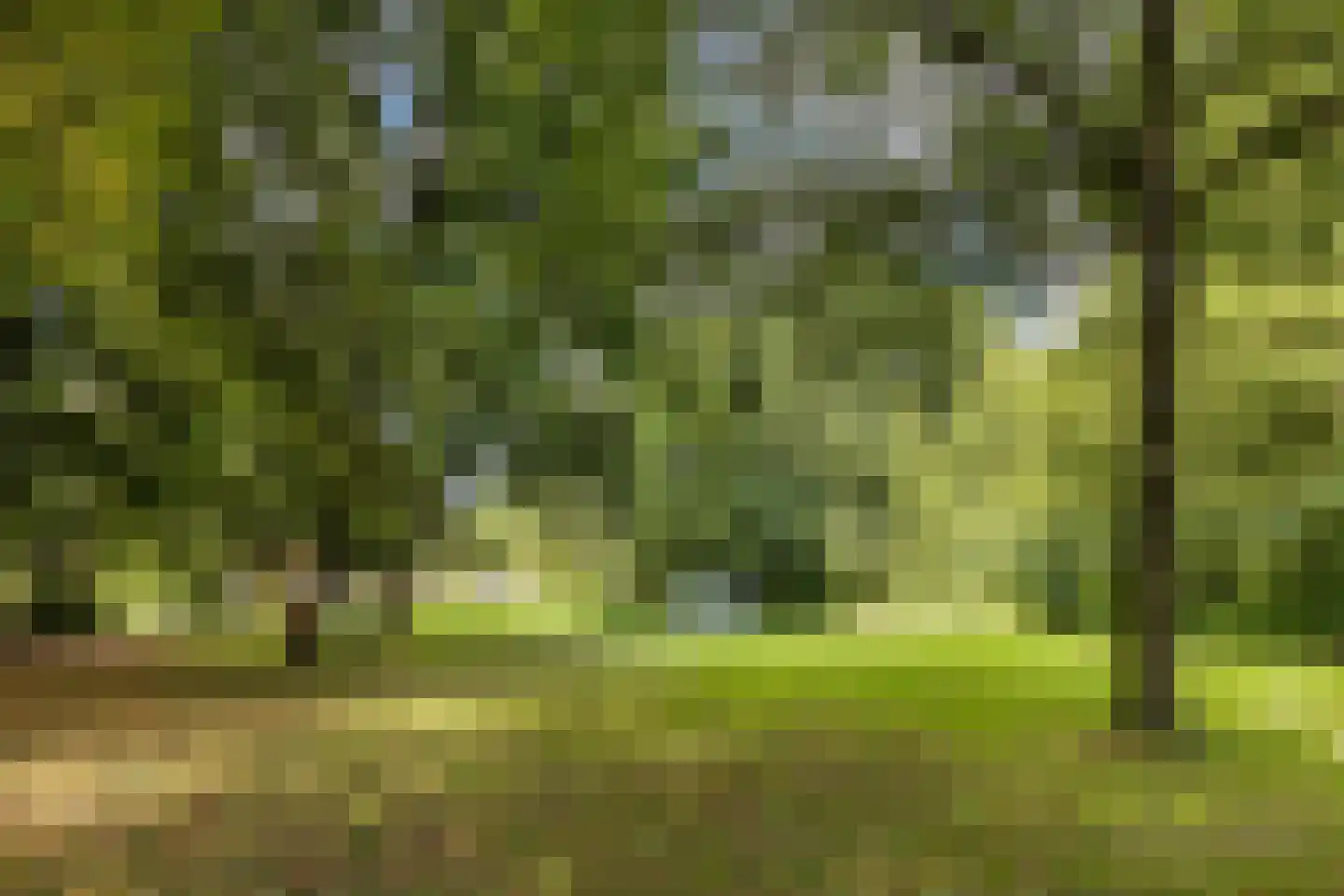 Zuidermeent 46 Kraggenburg thumbnail 52