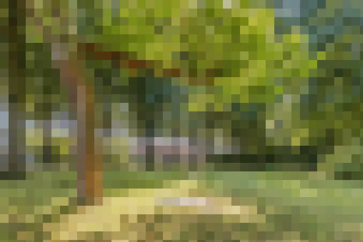 Zuidermeent 46 Kraggenburg thumbnail 53