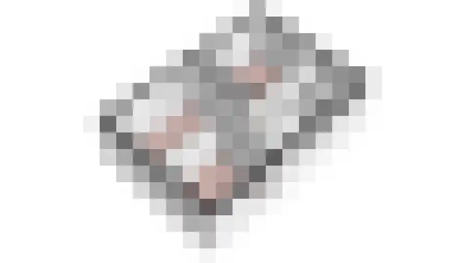 Zuidermeent 46 Kraggenburg thumbnail 61