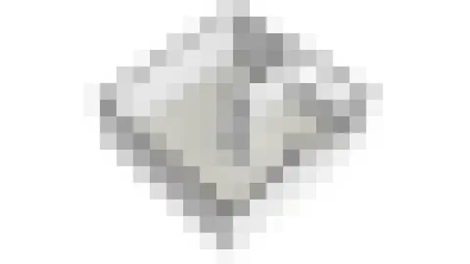 Zuidermeent 46 Kraggenburg thumbnail 65