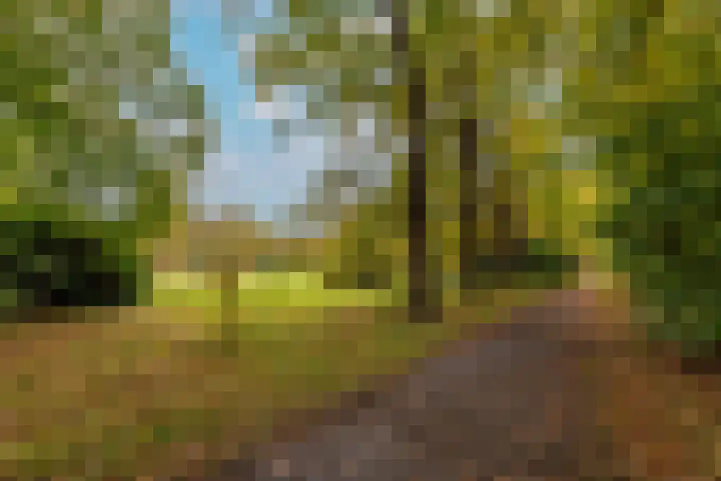 Zuidermeent 50 Hilversum thumbnail 39
