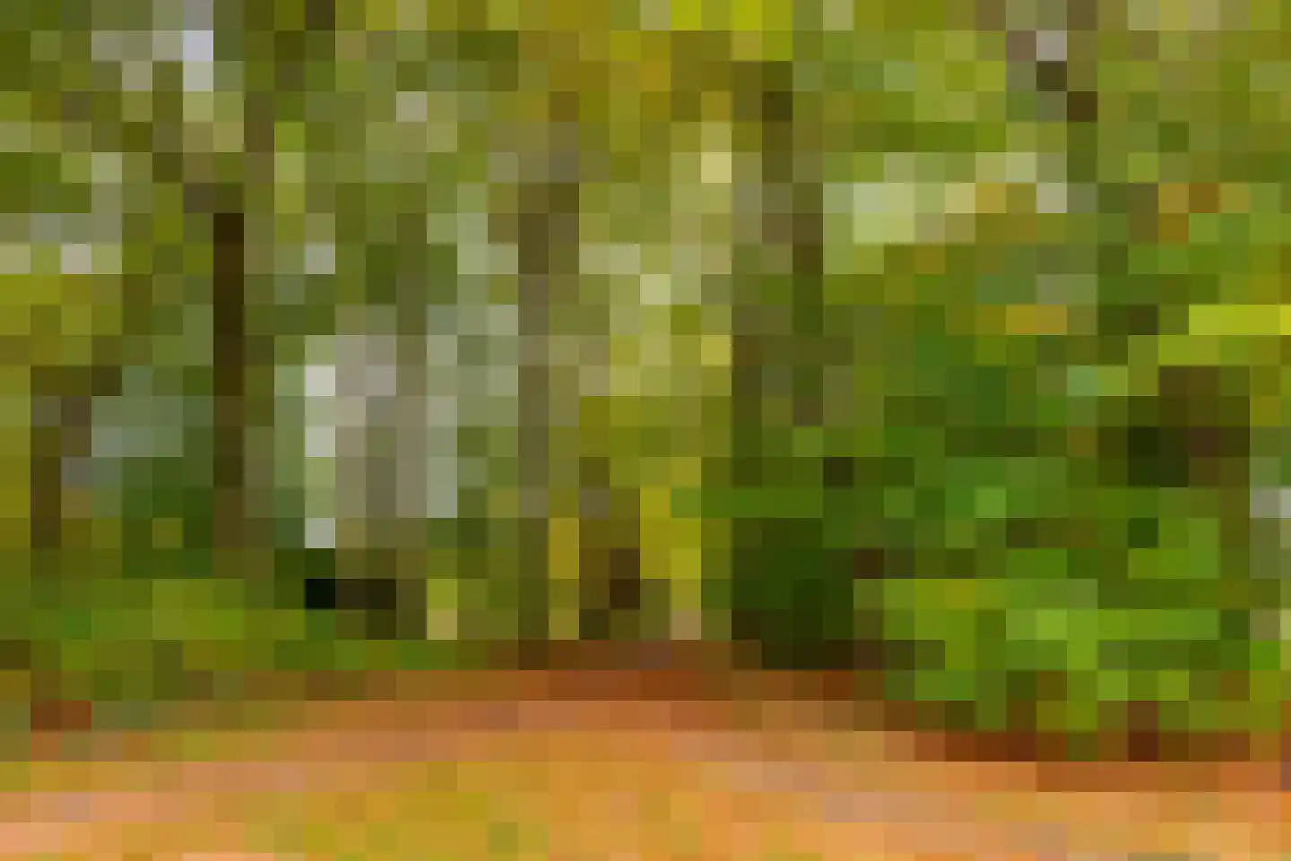 Zuidermeent 50 Hilversum thumbnail 40