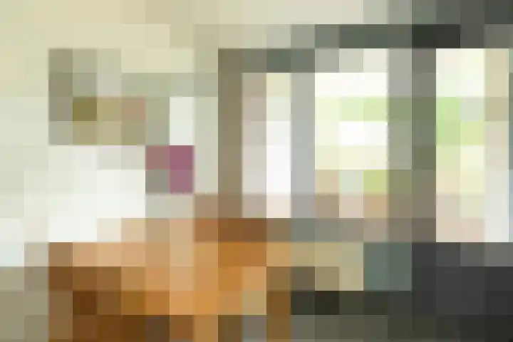 Zuidermeent 7 Hilversum thumbnail 10