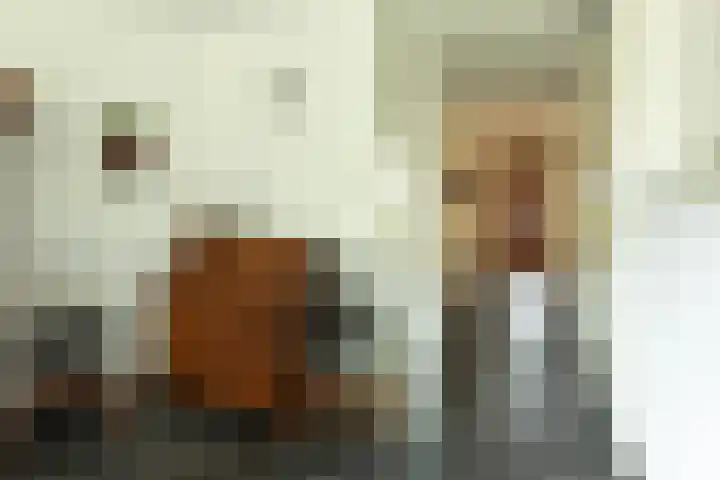 Zuidermeent 7 Hilversum thumbnail 11