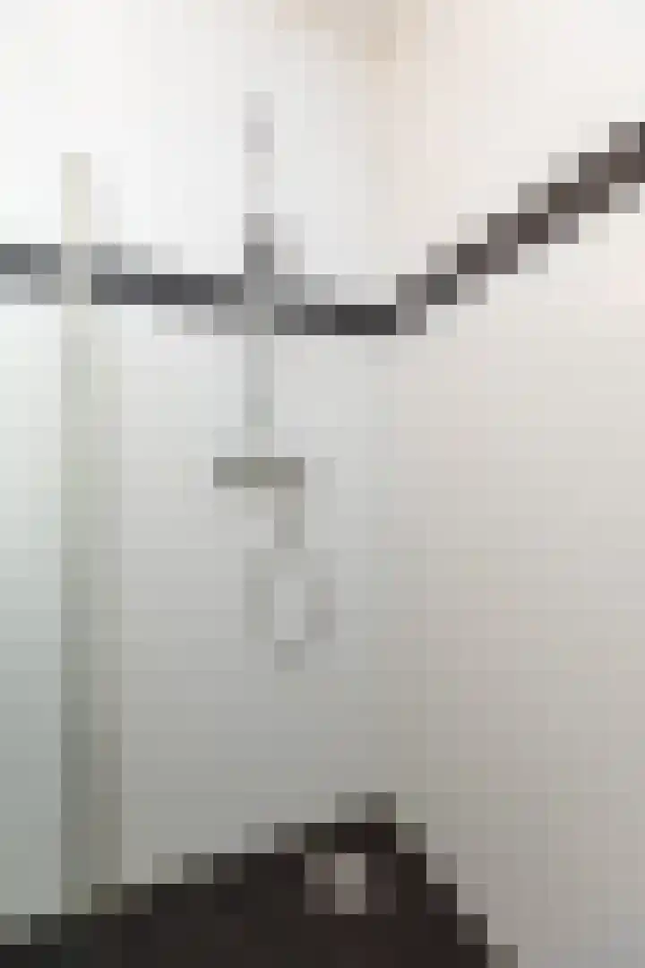 Zuidermeent 7 Hilversum thumbnail 15