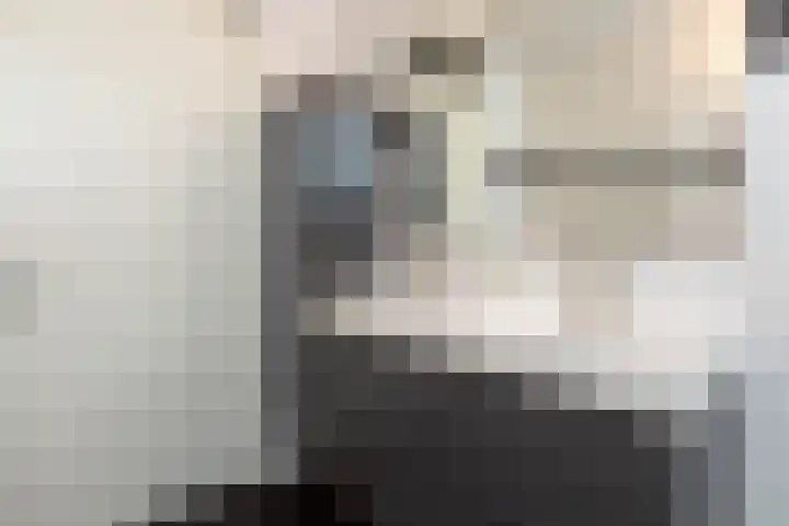 Zuidermeent 7 Hilversum thumbnail 16
