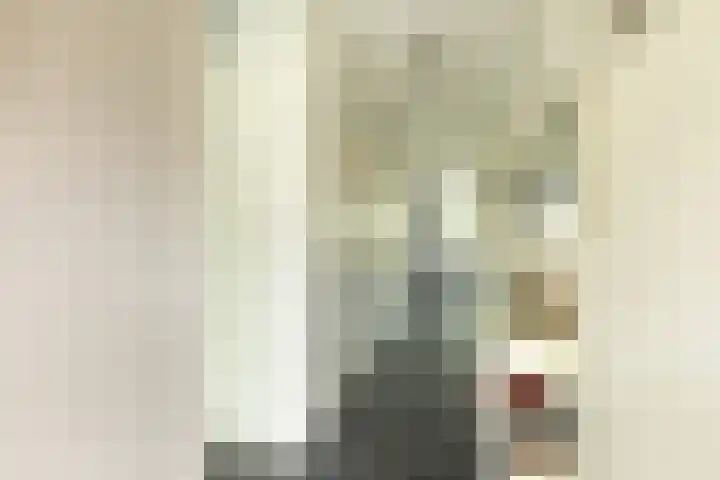 Zuidermeent 7 Hilversum thumbnail 17