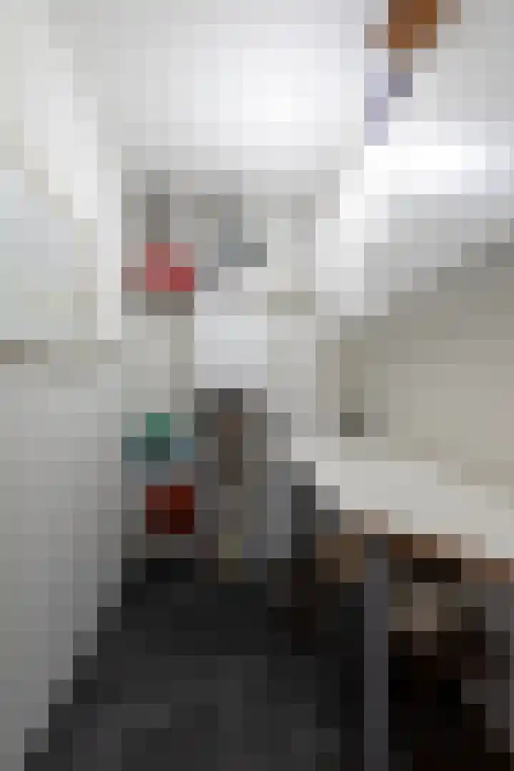 Zuidermeent 7 Hilversum thumbnail 20