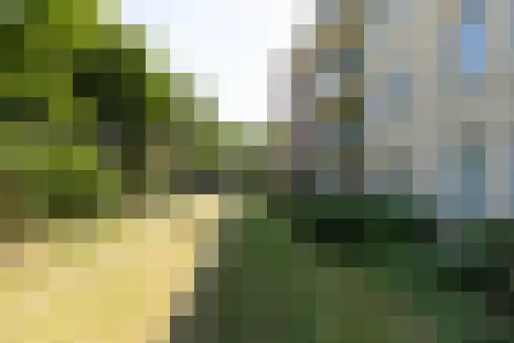 Zuidermeent 7 Hilversum thumbnail 22