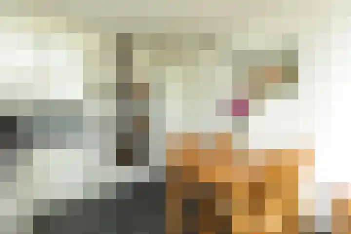Zuidermeent 7 Hilversum thumbnail 7