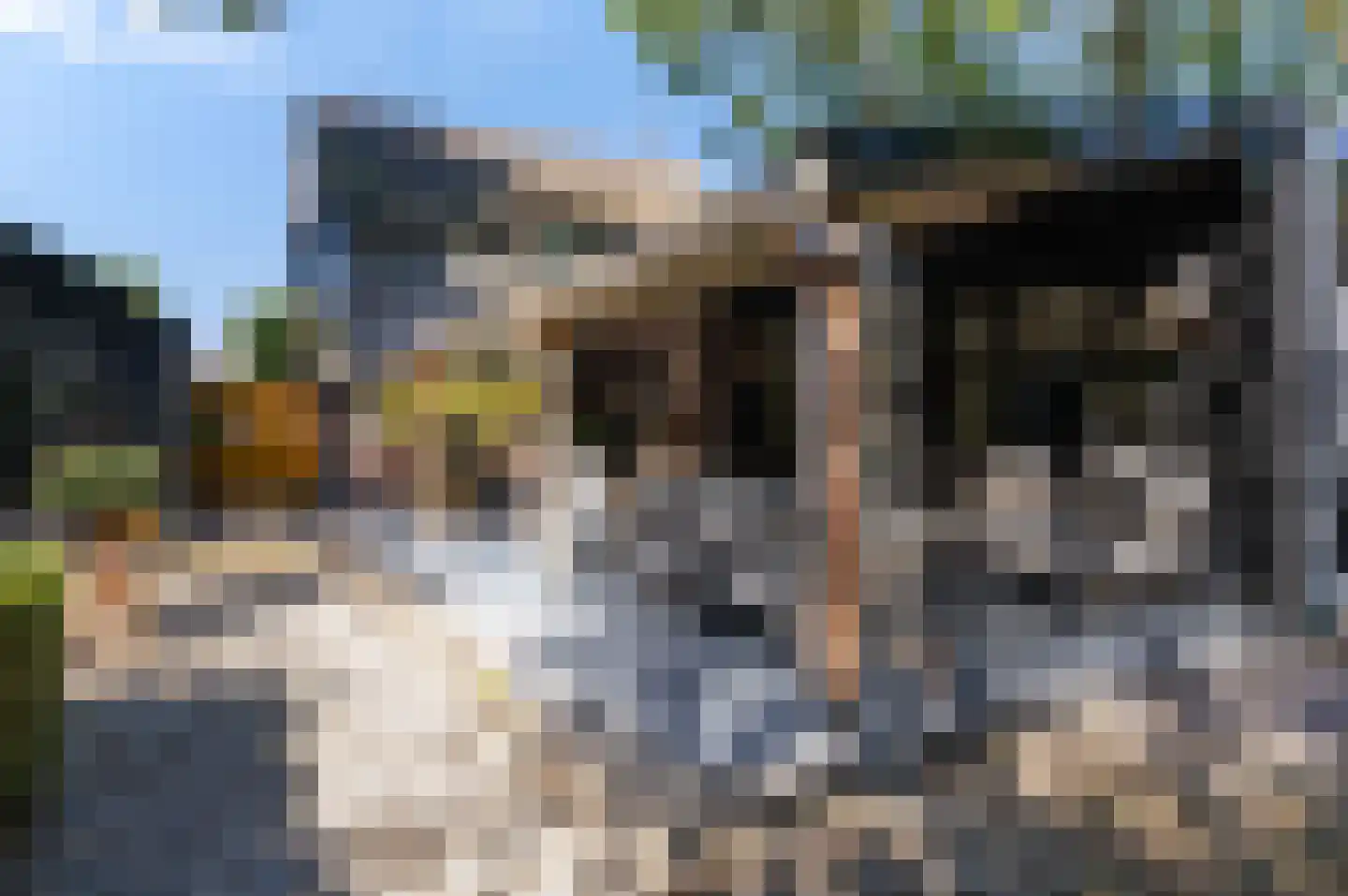 Zuidermeerweg 34 Zuidermeer thumbnail 19