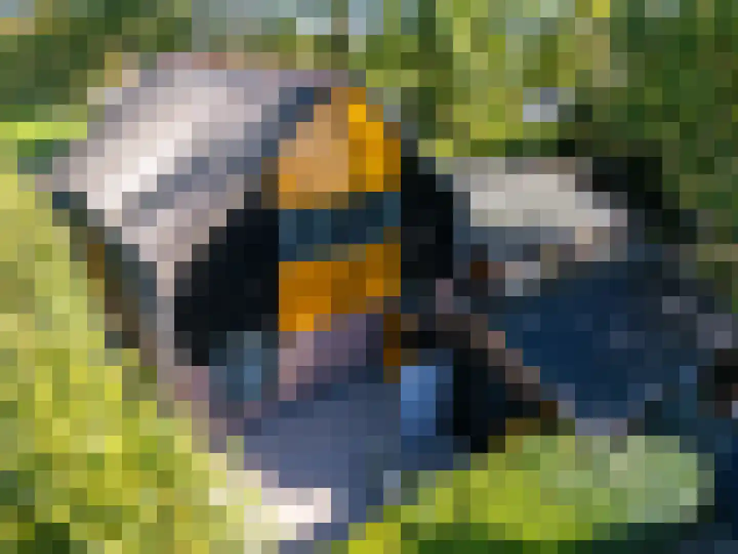 Zuidermeerweg 34 Zuidermeer thumbnail 6