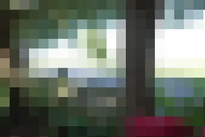 Zuidermeerweg 7 Zuidermeer thumbnail 18