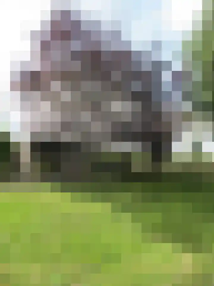 Zuidermeerweg 7 Zuidermeer thumbnail 20