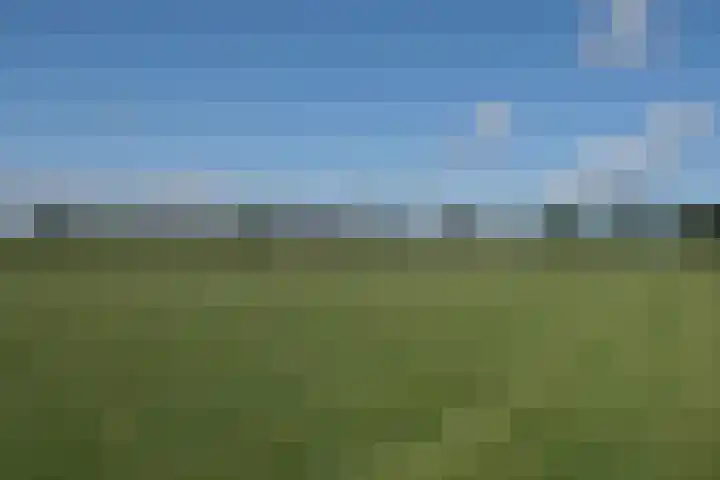 Zuidermeerweg 7 Zuidermeer thumbnail 22