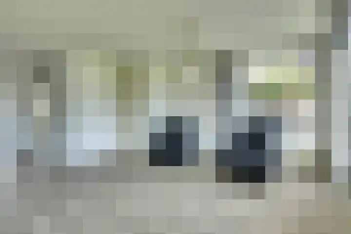 Zuidermeerweg 74 Zuidermeer thumbnail 10