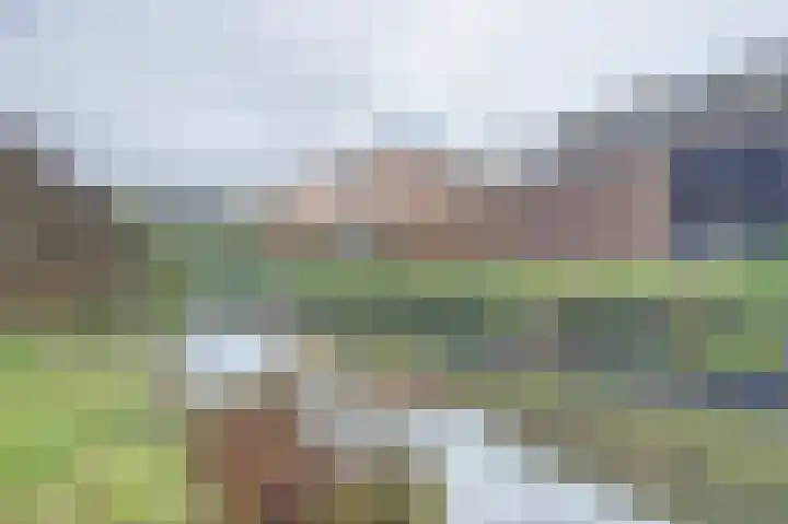 Zuidermeerweg 74 Zuidermeer thumbnail 33