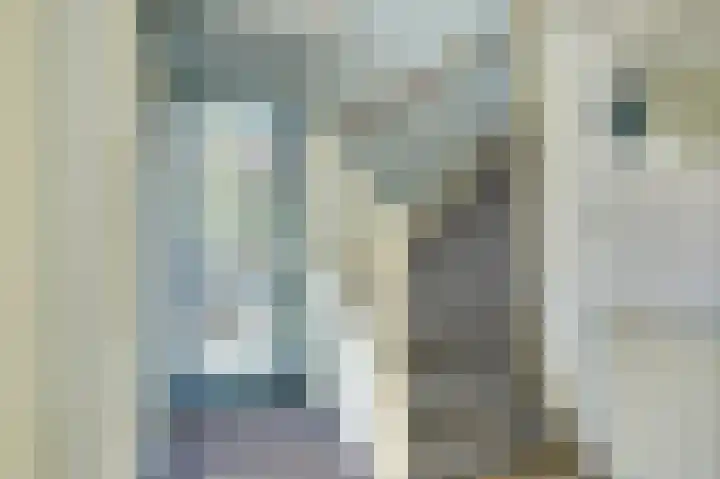 Zuidermeerweg 74 Zuidermeer thumbnail 7