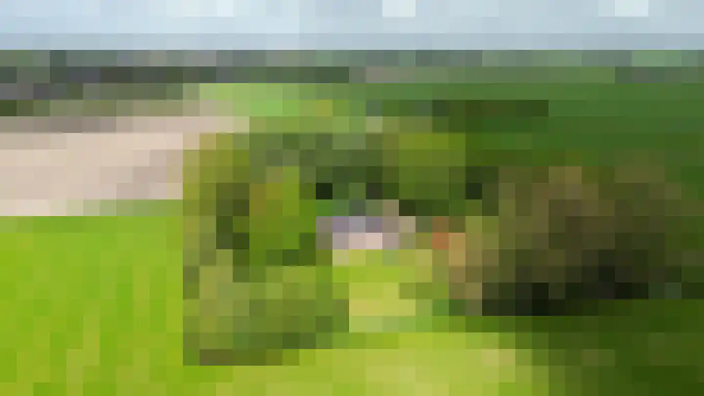 Zuidermiedweg 2 Hallum thumbnail 10