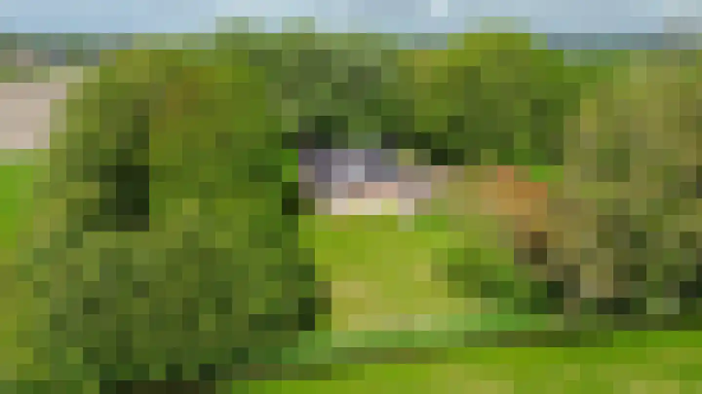 Zuidermiedweg 2 Hallum thumbnail 11